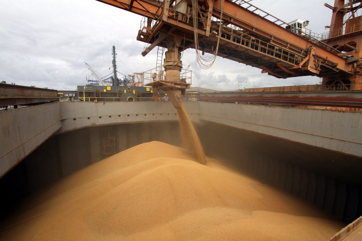 В праздничные выходные дни января с территории Ростовской области отгружено на экспорт более 128 тыс. тонн зерна и продуктов его переработки