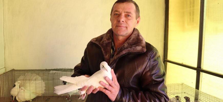 Бурдейник В.А.