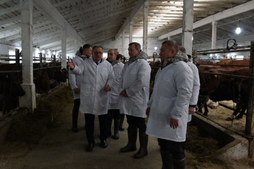 В Ростовской области растет производство молочной продукции
