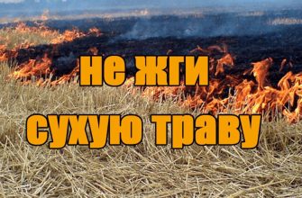 пожар
