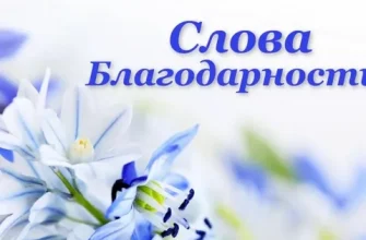 слова юлагодарности
