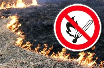 выжигание травы