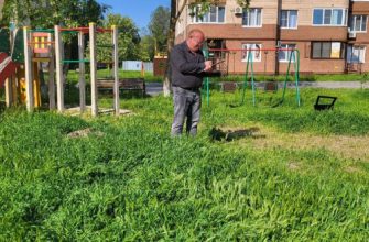 покос травы