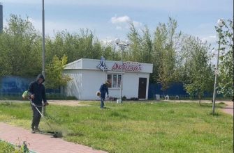 ГАЗОНЫ
