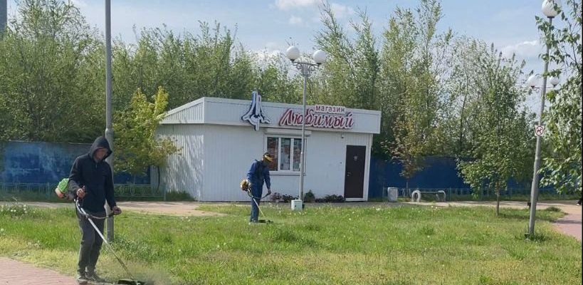 ГАЗОНЫ