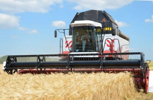 В Ростовской области планируют уборку ранних зерновых