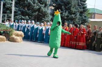 день огурца