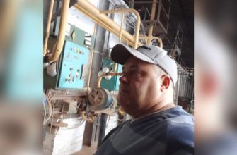 занятость населения