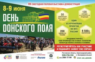 день донского поля