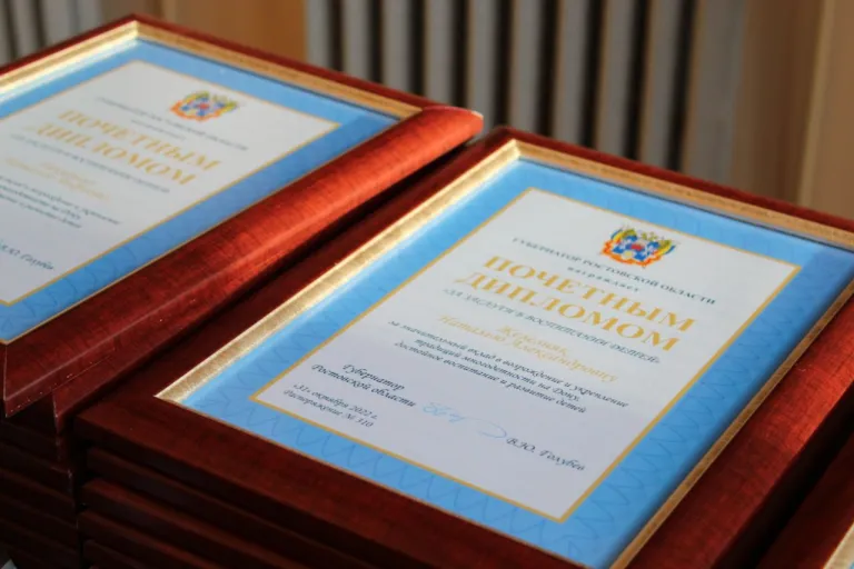 Почётный диплом Губернатора Ростовской области «За заслуги в воспитании детей»