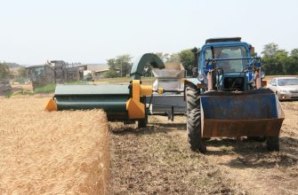 уборка зхерновых