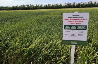 селекционеры