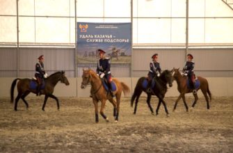 конный спорт