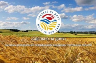 сделано на дону
