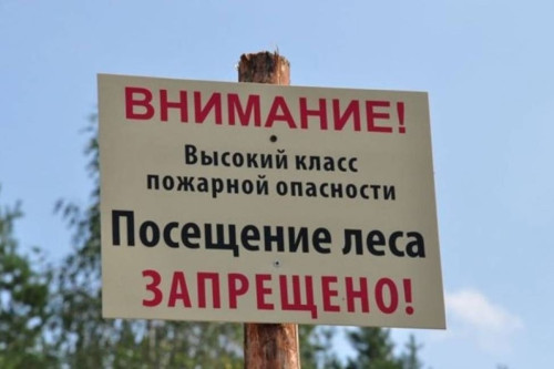 На Дону продлён режим ограничения пребывания граждан в лесах