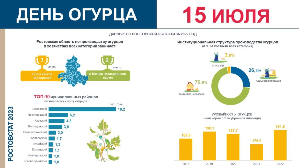 Ростовская область по производству огурцов открытого грунта занимает 3 место в Российской Федерации