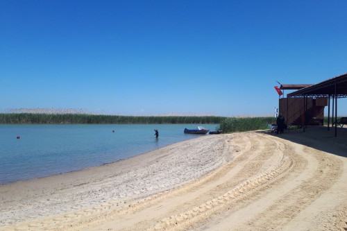 Роспотребнадзор по Ростовской области провел мониторинг поверхностных водоемов в регионе