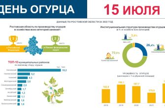 день огурца