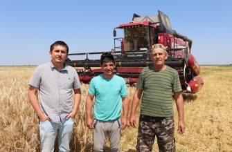 Рыбхоз Грачики