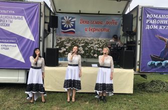 РОМАШКОВЫЙ БЛЮЗ