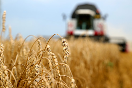 Донские хлеборобы побили все свои исторические рекорды – собрано 15,4 млн тонн ранних зерновых