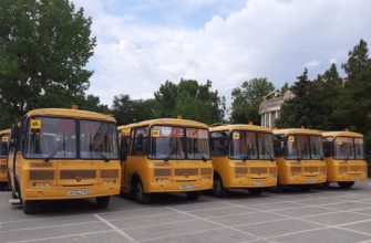 школьные автобусы