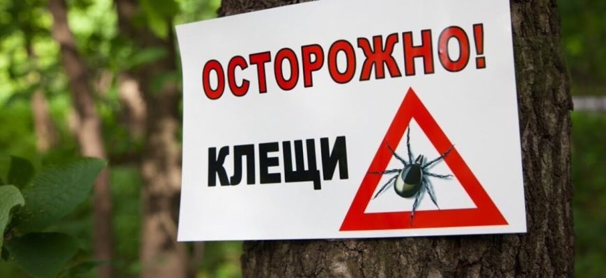 клещи