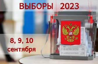 выборы