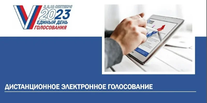 выборы