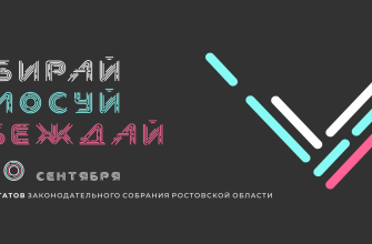 выборы