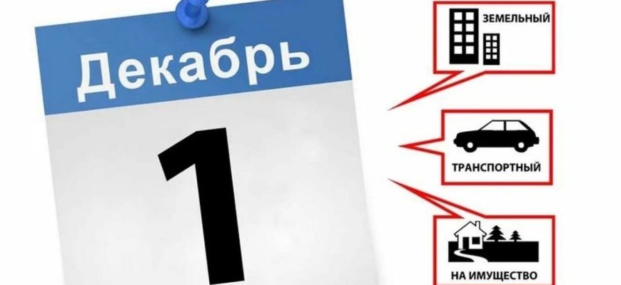 налоги