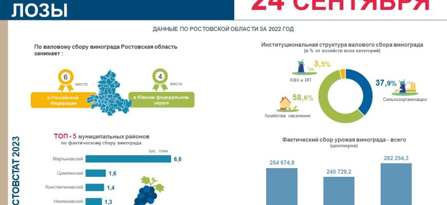 день лозы