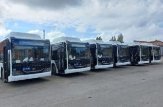 автобусы