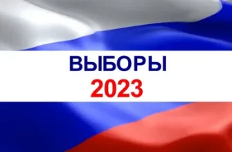 выборы