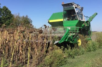 уборка подсолнечники