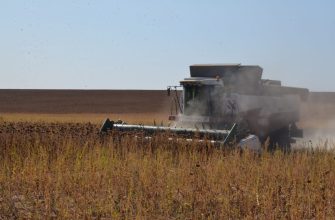 уборка подсолнечника