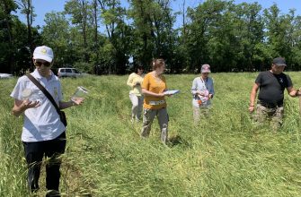 россельхозцентр