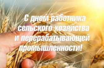 открытка