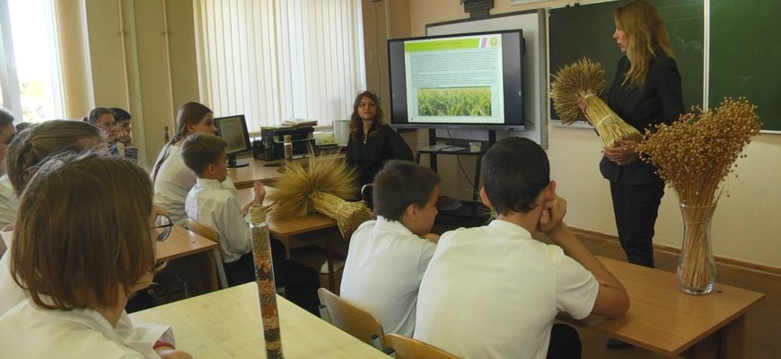 образование
