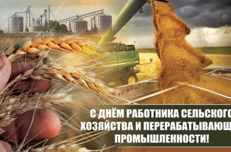День работника сх