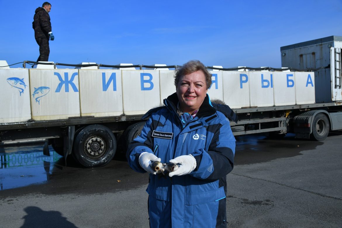 Волгодонские атомщики выпустили восемь тонн толстолобика и сазана в водоём-охладитель Ростовской АЭС