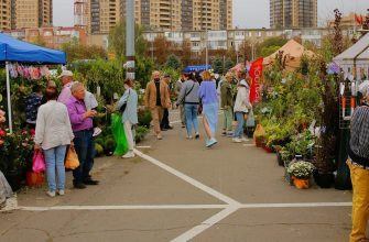 выставка ярмарка