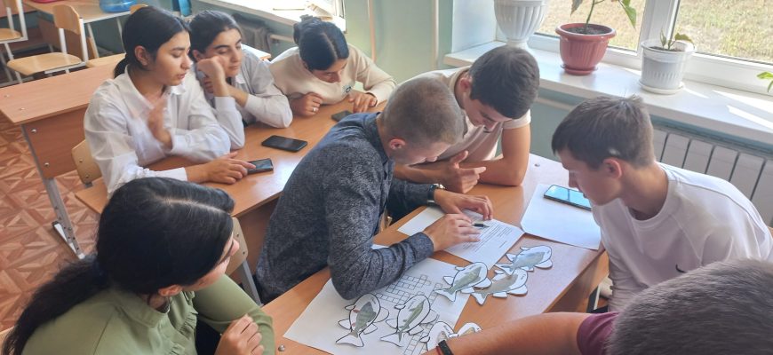 в библиотеке