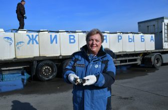 выпуск рыбы