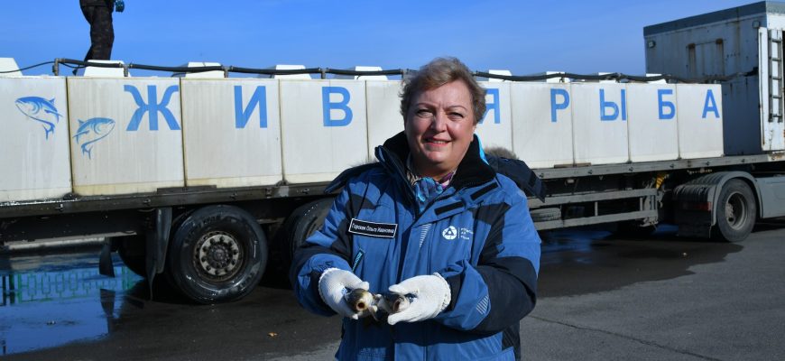 выпуск рыбы
