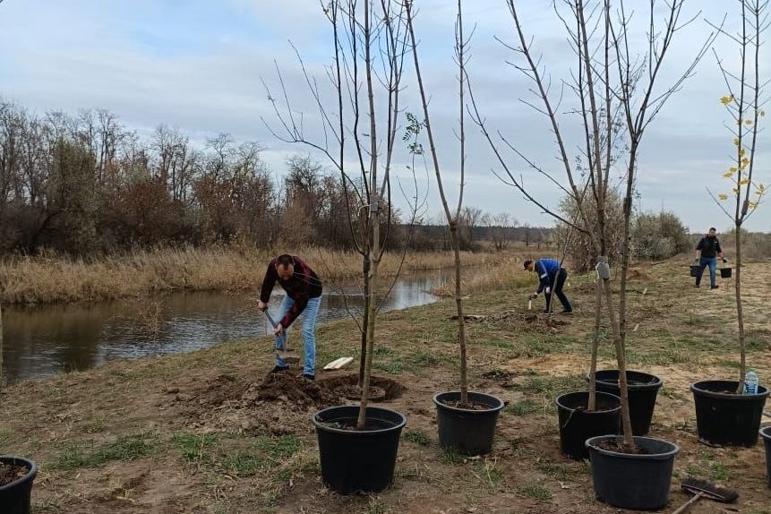 Экологическая акция:  25 саженцев лиственных деревьев высажено на берегу реки Кумшак