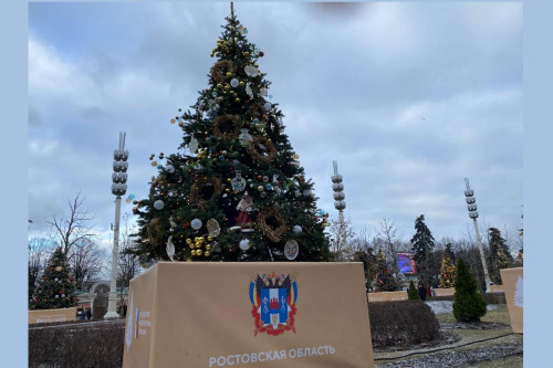 На ВДНХ украсили в казачьей стилистике новогоднюю ель Ростовской области