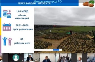инвестпроекты