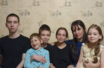 семья