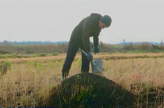 поле обработка